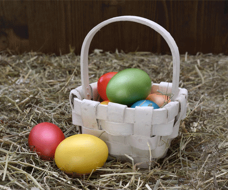 Easter Egg Hunt in The Woodlands