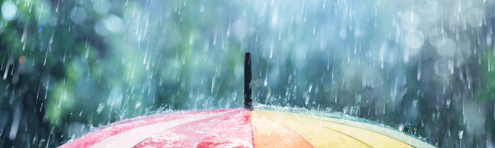 image of rain umbrella