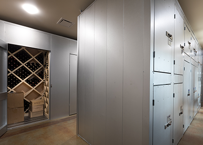 Wine storage vault walk in size